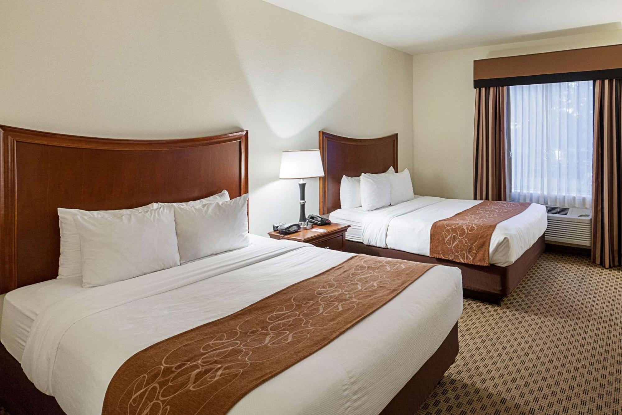 Comfort Suites San Antonio North - Stone Oak Exterior foto